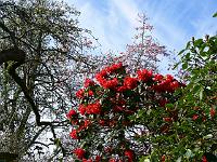 17-04-2007_10-12-31_12