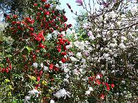 17-04-2007_12-10-32_31