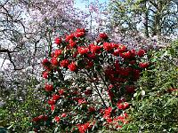 17-04-2007_12-11-20_44