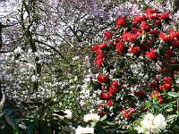 17-04-2007_12-13-28_80