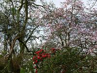 18-04-2007_08-29-37_52