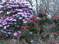 20-04-2006_07-00-49_20