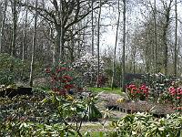 2009-04-16_14-33-03_0013