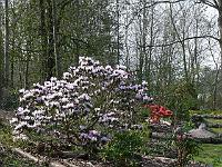 2009-04-16_14-33-54_0019