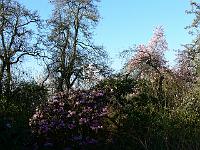 2009-04-18_07-12-32_0049