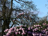 2011-04-17_07-54-51_0054