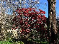 2011-04-17_07-56-46_0061