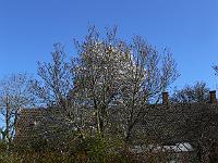 2011-04-17_08-03-50_0088