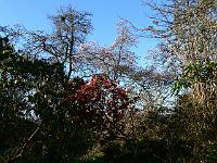 2011-04-18_07-17-39_0011