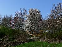 2011-04-20_15-46-01_0339