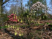 2011-04-22_08-02-45_0008