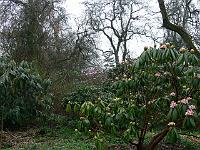 21-04-2006_09-04-04_92