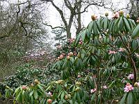 22-04-2006_10-56-38_82