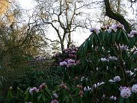 24-04-2006_20-32-42_61