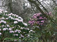 26-04-2006_11-05-25_81