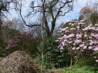 28-04-2006_16-04-27_77