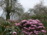 29-04-2006_18-26-15_65