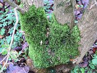 08-12-2006_10-37-53_03