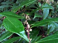 13-12-05canon_029chang