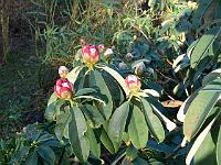 07-02-2008_17-09-50_17