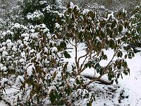 23-02-2006_10-44-46_81