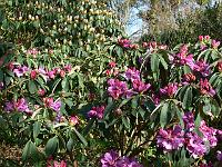 25-02-2008_13-47-38_13