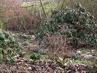 26-02-2006_15-09-19_99