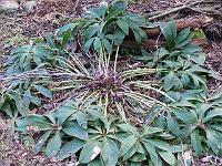 26-02-2006_17-36-21_77