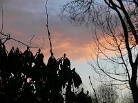 26-02-2006_17-43-34_09