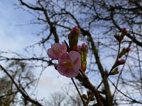 15-01-2007_14-25-57_14