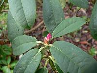 19-01-2007_12-36-51_25