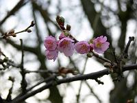 20-01-2007_15-21-28_23