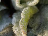 2012-01-25_12-30-55_0002