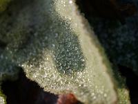 2012-01-25_12-31-15_0003