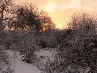 24-01-2007_13-41-24_04