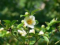 05-07-2006_11-00-40_29