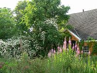 05-07-2006_18-58-50_04