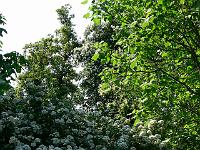 06-07-2006_10-47-00_04