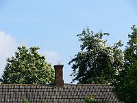 07-07-2006_09-42-37_30