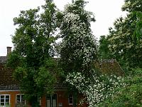 08-07-2006_10-38-54_04