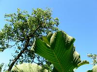 10-06-2007_09-06-59_43