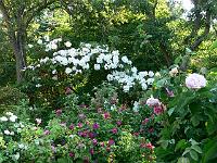 11-06-2007_18-35-16_26