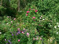 12-06-2007_19-31-08_20