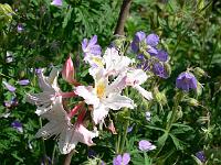 18-06-2006_10-28-32_32