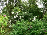 19-06-2006_09-00-24_14