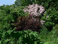 20-06-2006_10-21-11_37