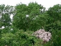 20-06-2006_10-21-37_43