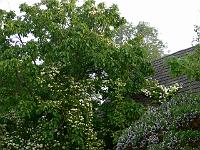 2009-06-28_04-36-03_0021