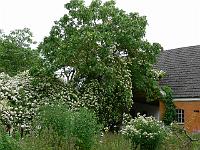 2009-06-30_08-03-48_0002