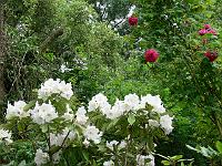 25-06-2006_19-51-20_36